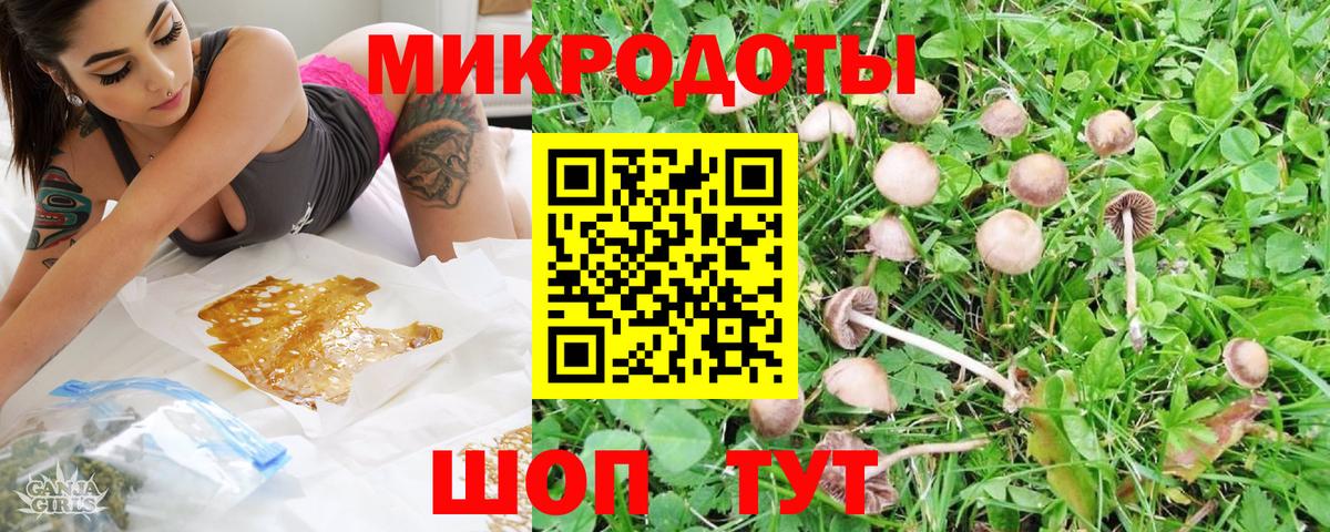 Галлюциногенные грибы Psilocybe Иркутск